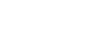 Trusted by 50+ Global Companies